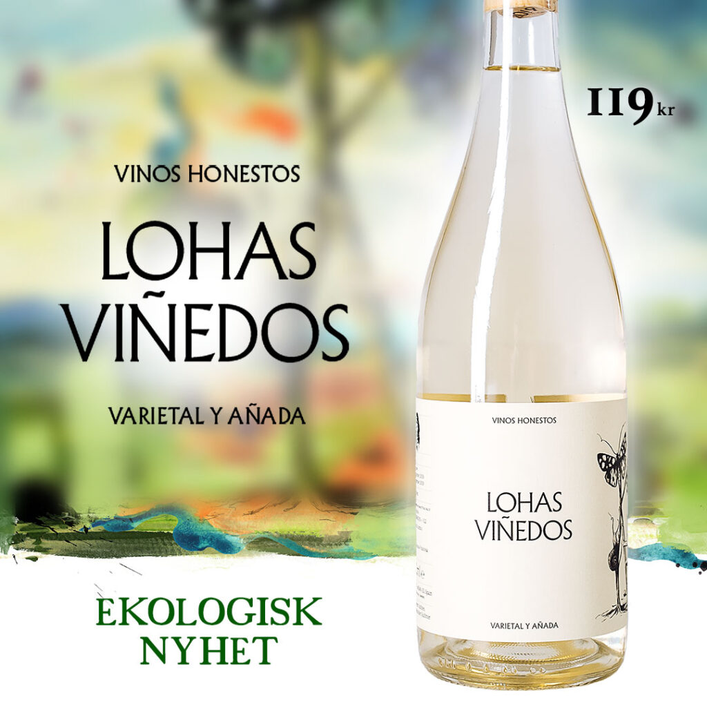 Lohas Viñedos Blanco – Di vin