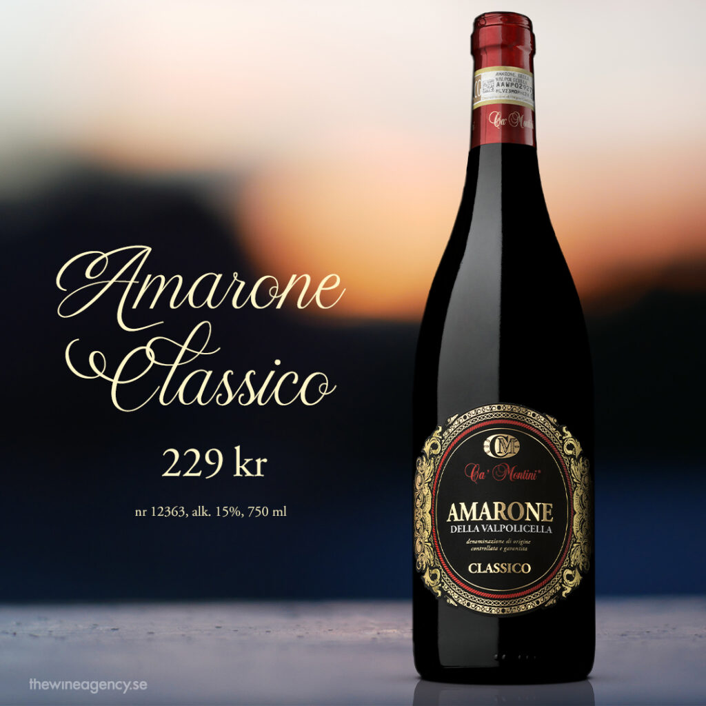 Ca Montini Amarone Classico – Di Vin