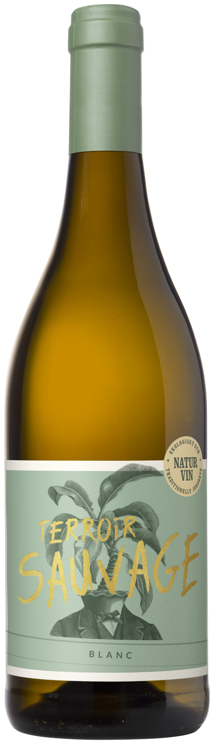 Produktbild på  Terroir Sauvage Blanc