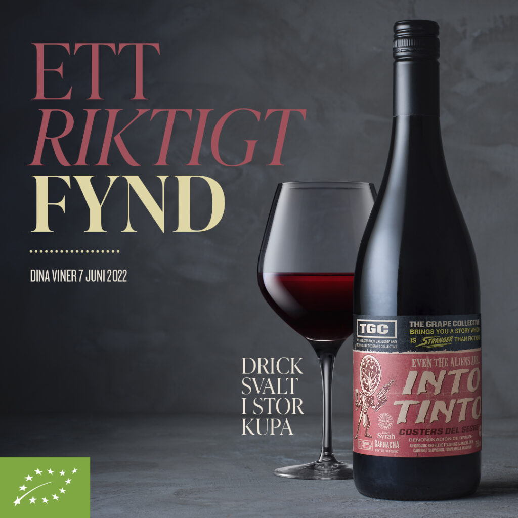 Into Tinto The Grape Collective