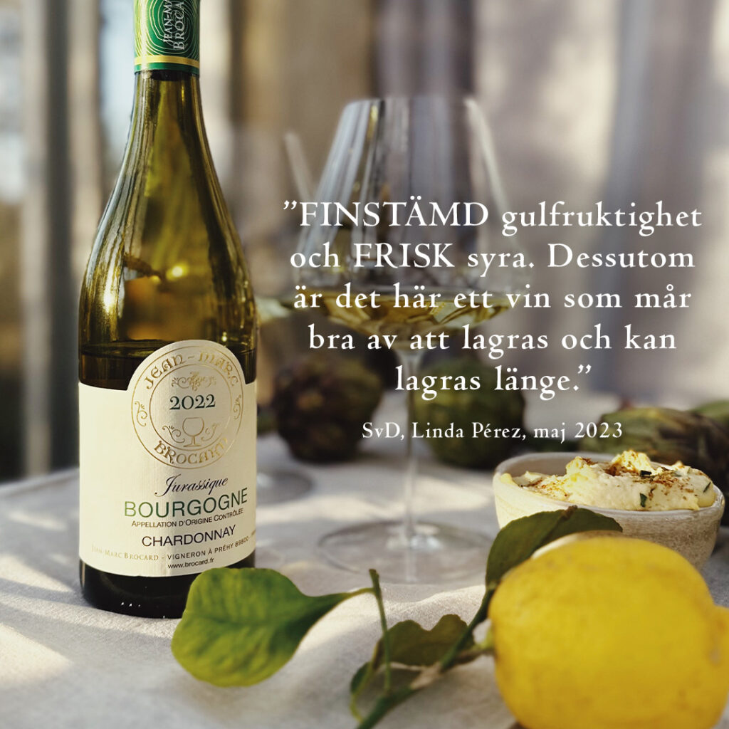 Bourgogne Blanc Jurassique – Allt om Vin